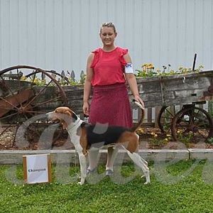 Meet your Posher, Tiffany